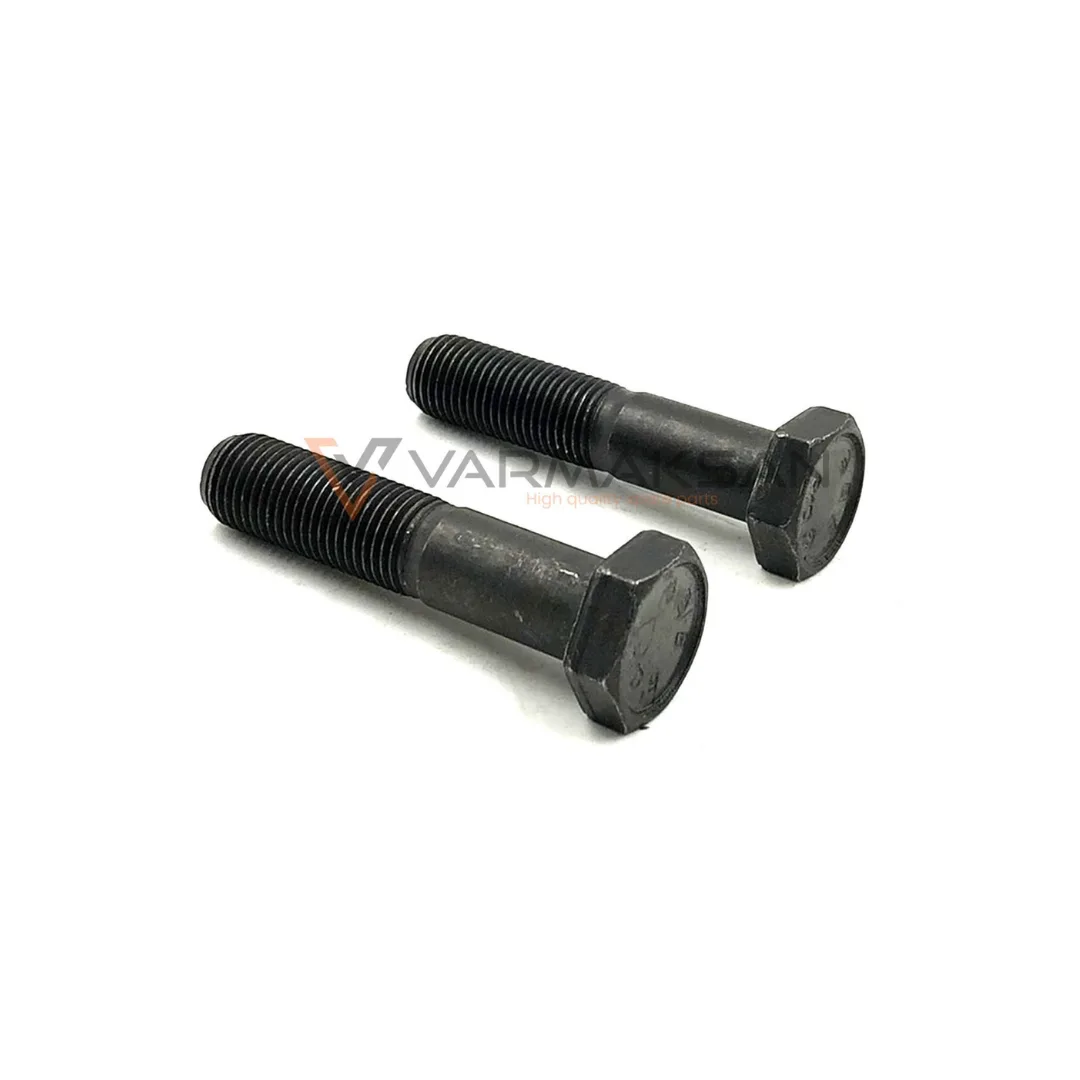 CARRARO 119906 SCREW