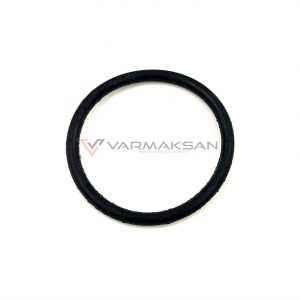 028600 ORING
