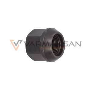 DANA SPICER 10089669 WHEEL NUT