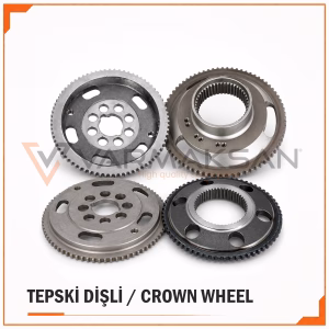 TEPSİ DİŞLİLER