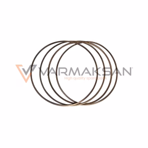 ZF 0734.317.327 SUPPORT RING